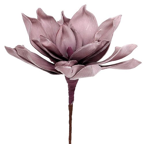 Floristik24 Foamblüte Magnolia Berry Ø15cm L67cm