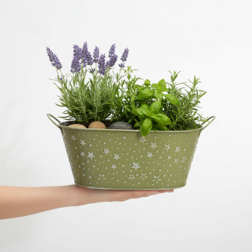 Artikel Metallschale oval Sterne und Griffe Grün 31×16cm H12,5cm