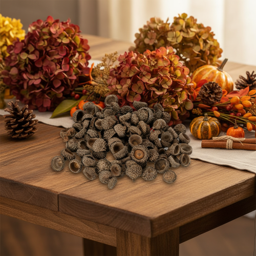 Eichelkappen aus Naturmaterial ca. 2 cm Braun 300 g für Herbst- und Adventsdekoration | Floristik24.ch