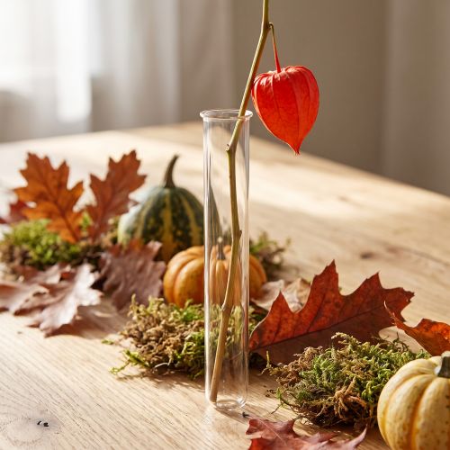 Reagenzglas aus Glas, 200 mm × 27 mm, farblos | Floristik24.ch