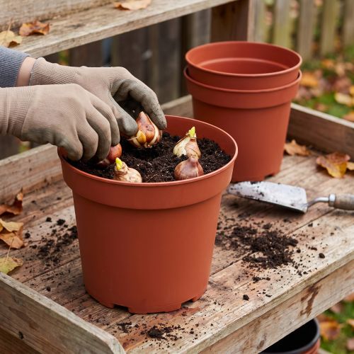 Pflanztopf aus Kunststoff Ø29 cm in Terrakotta, 10 Stück | Floristik24.ch