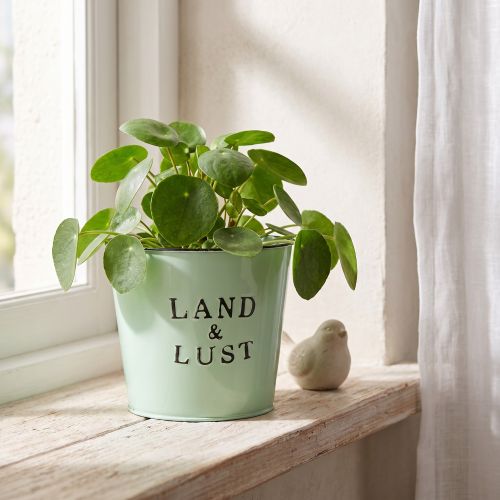 Blumentopf Metall Mintgrün Landhaus Ø17cm H15,5cm für Innen- und Aussenbereiche | Floristik24.ch