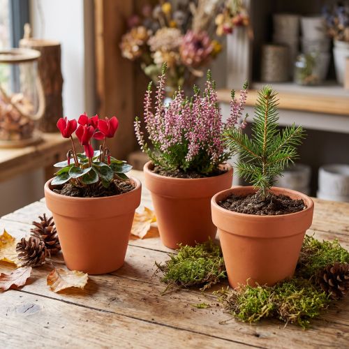 Blumentopf aus Ton Ø9cm 10er-Set Terrakotta
