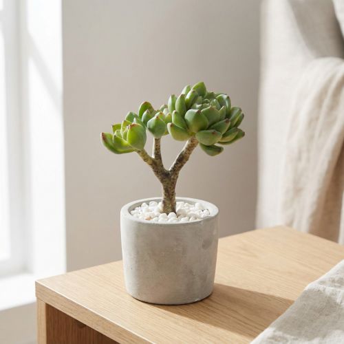 Artikel Sukkulente Echeveria künstlich grün H15cm aus Kunststoff