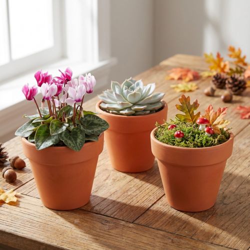Blumentöpfe aus Ton Ø6cm H5cm Terrakotta 10 Stück | Floristik24.ch