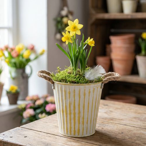 Topf aus Metall Ø18cm H17,5cm Gelb Shabby Chic mit Henkeln für Frühlingsdeko und Pflanzen | Floristik24.ch