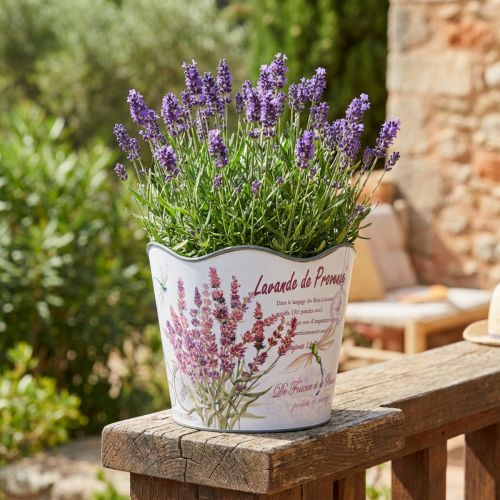 Übertopf Kunststoff Blumentopf Lavendel-Motiv Ø16,5cm H13,5cm Innen dunkelgrün | Floristik24.ch