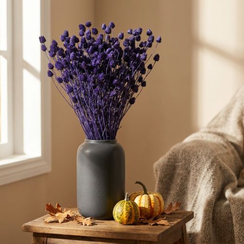 Erdbeerdisteln Trockenblumen Violett 44-58cm 100g für Dekoration | Floristik24.ch