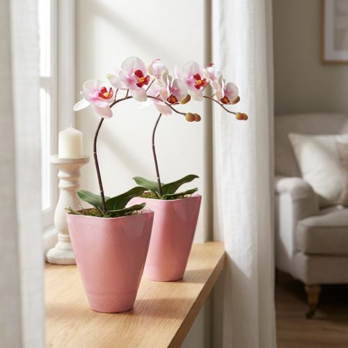 Blumentopf Plastik 16,5cm 2er Set Pink Orchideen