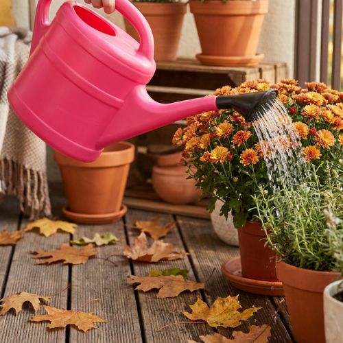 Garten-Giesskanne aus