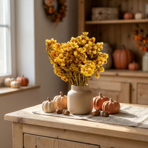 Mini-Strohblumen-Bund Gelb, Trockenstrauss, Natur, H 20–25 cm, 15 g | Floristik24.ch