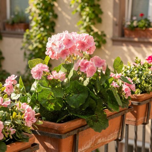 Geranie künstlich Rosa-Weiss mit 7 Blüten aus Seidenstoff H38 cm | Floristik24.ch