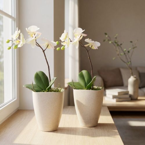 Orchideentopf Blumentopf aus Kunststoff Beige Meliert 13,5x13xH16,5cm 2er-Set | Floristik24.ch