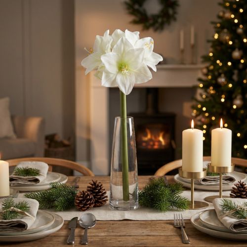 Künstliche Amaryllis Weiss mit Stiel 50cm für Advent und Weihnachten | Floristik24.ch