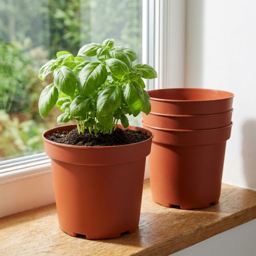 Pflanztopf Kunststoff Terrakotta Ø15cm 10 Stück | Floristik24.ch