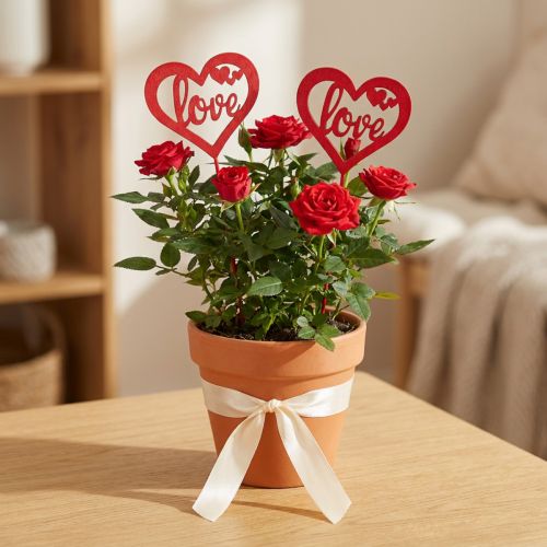 Blumenstecker Herz aus Holz Rot und Weiss 7cm Dekostecker für Gestecke und Dekoration 12 Stück | Floristik24.ch