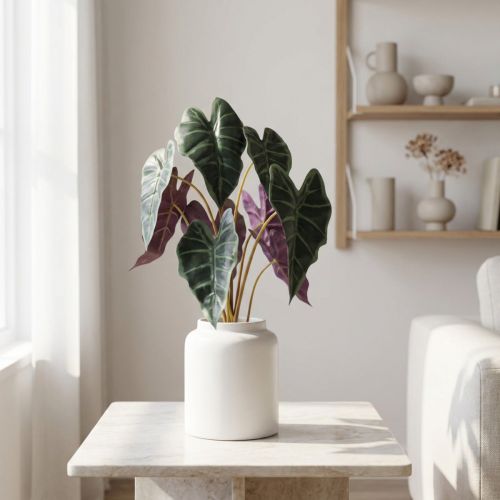 Alokasie Pfeilblatt künstlich, Grün/Violett, 48cm hoch, 9 Blätter | Floristik24.ch