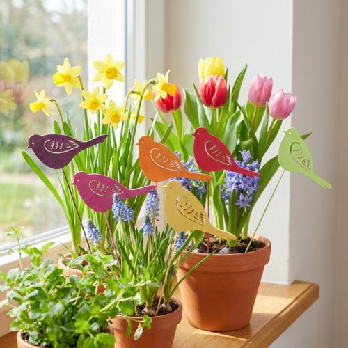 Frühlingsdeko Pflanzenstecker Holz Vogel 28cm Mehrfarbig 18 Stk | Floristik24.ch