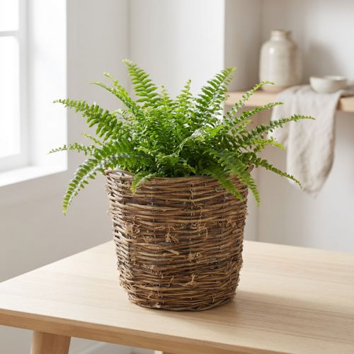 Pflanzkorb aus Rebe mit Metallbasis und Folie, rund, Ø19cm, Höhe 18cm, Naturfarben für Innenbereiche | Floristik24.ch