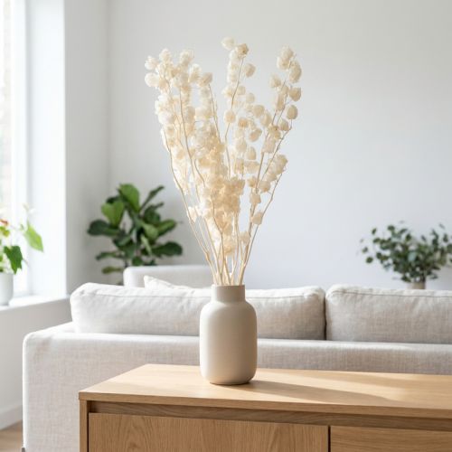 Getrocknete und Gebleichte Physalis Dekoration 75–80 cm, Creme | Floristik24.ch