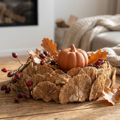 Artikel Getrockneter Baumschwamm 6–15 cm, Naturfarben, 1 kg, für Trocken- und Herbstdekoration