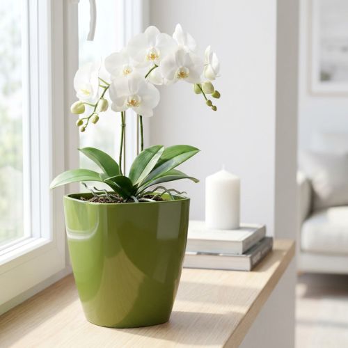Orchideentopf Kunststoff glänzend Ø12,5 cm Olivgrün | Floristik24.ch