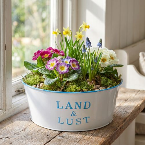 Metall Blumenschale rund 25×10cm Weiss-Blau Pflanztopf für Innen- und Aussendekoration | Floristik24.ch