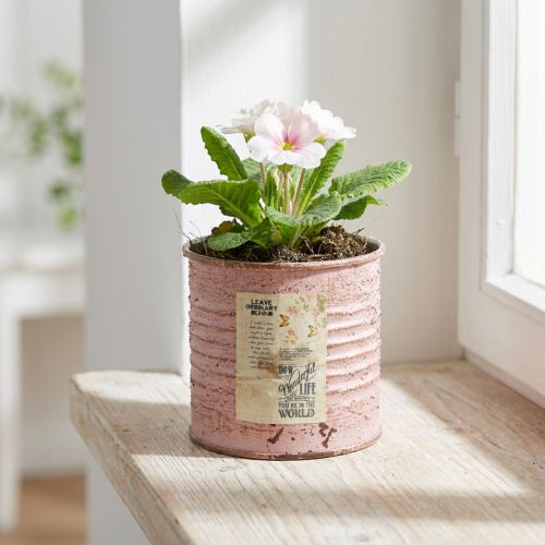 Blumentopf Metall rund Altrosa Ø 8 cm H 7,5 cm für Fensterbank & Deko | Floristik24.ch