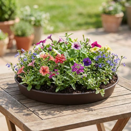Pflanzring Rondino aus Kunststoff Ø35–55 cm Braun | Floristik24.ch