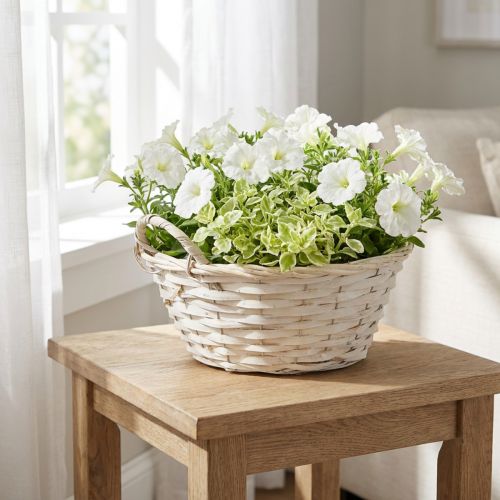 Korb aus Spanholz mit Griffen, Pflanzkorb Ø35cm Weiss Vintage | Floristik24.ch