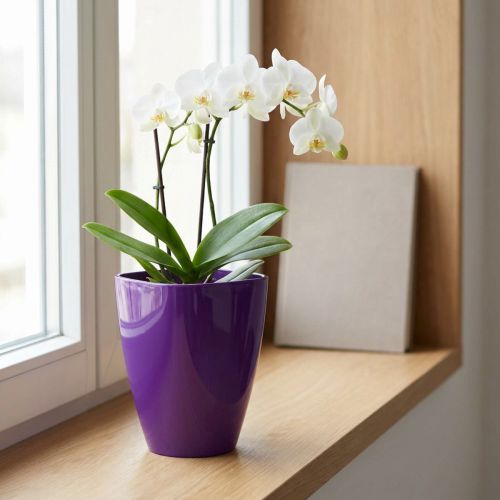 Orchideentopf Kunststoff Glänzend Ø12,5cm Violett | Floristik24.ch