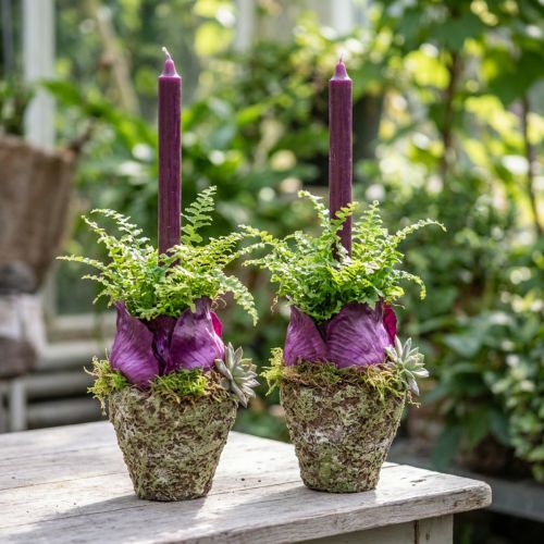 Pflanztopf-Set aus Keramik in Waldoptik, Ø12,5cm, H12cm, 2 Stück | Floristik24.ch