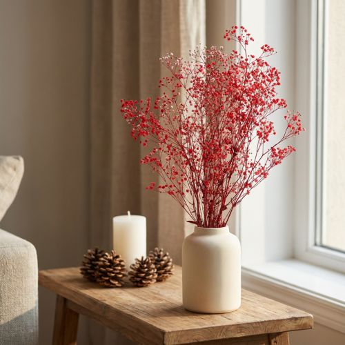 Schleierkraut Trockenblumen Rot, 50cm, 55g – Dekoration für Innenräume und Kreativprojekte | Floristik24.ch