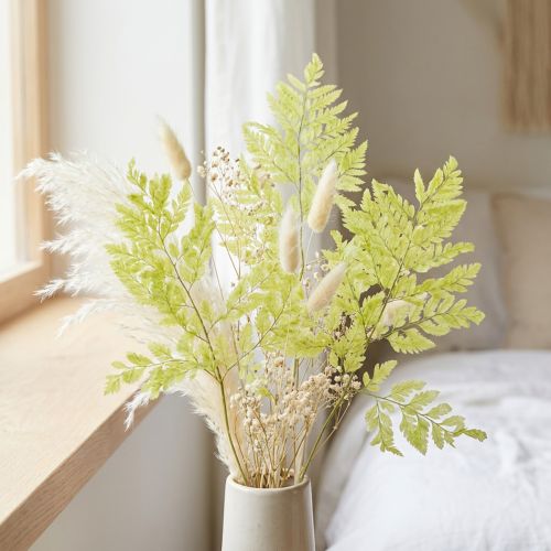 Konservierter Farn 40 cm grün – Dekoratives Naturmaterial für kreative Gestaltung (10 Stück) | Floristik24.ch