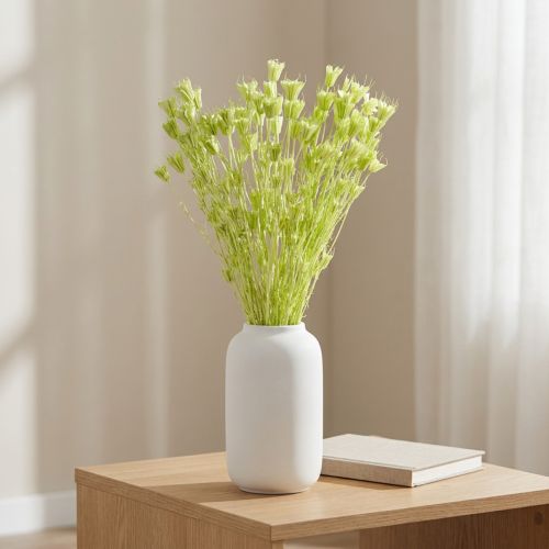 Trockenblumen Nigella Grün 70cm 50g für Raumdekoration und DIY-Projekte | Floristik24.ch
