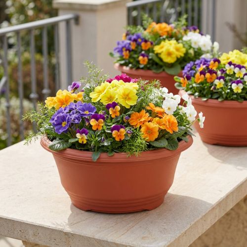 Pflanzschale aus Plastik Ø27cm Rund Terrakotta 5 Stück | Floristik24.ch