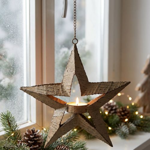 Teelichthalter Metall Weihnachtsstern Beige Braun 22,5 cm | Floristik24.ch