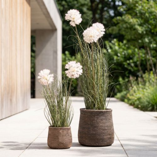 Künstliche Kugelblume Allium im Topf 54cm Weiss | Floristik24.ch
