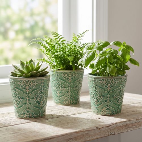 Keramik-Übertopf mit Craquelé-Glasur Grün Ø11cm H11cm, 3er-Set | Floristik24.ch