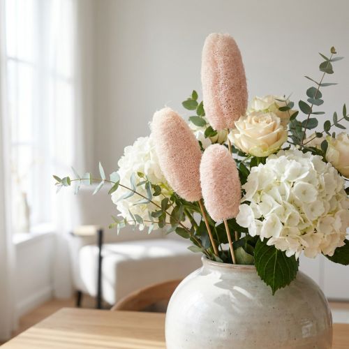 Luffa gebleicht am Stiel 6–8 cm Ø 45–60 cm 25 Stück | Floristik24.ch