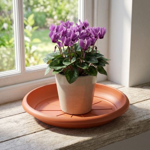 Untersetzer Kunststoff Ø18cm Terrakotta für Pflanzentöpfe | Floristik24.ch