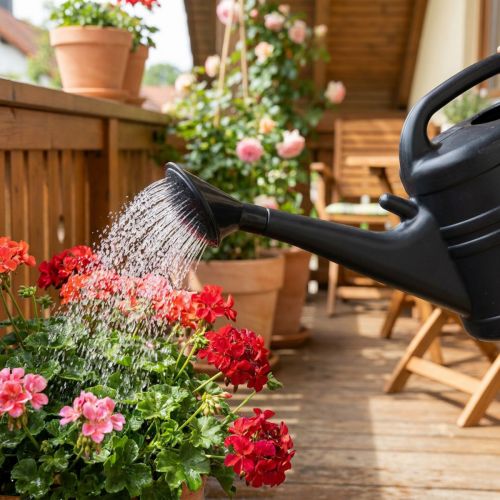 Gießkannenbrause Kunststoff Schwarz Ø10 cm für 10 Liter Kannen | Floristik24.ch