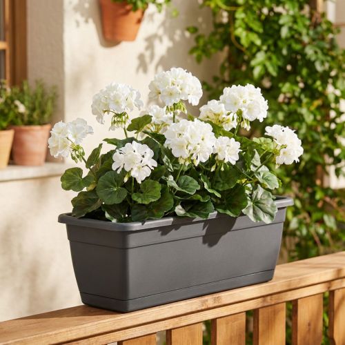 Weisser künstlicher Geranienbusch aus Seidenstoff, 38 cm | Floristik24.ch
