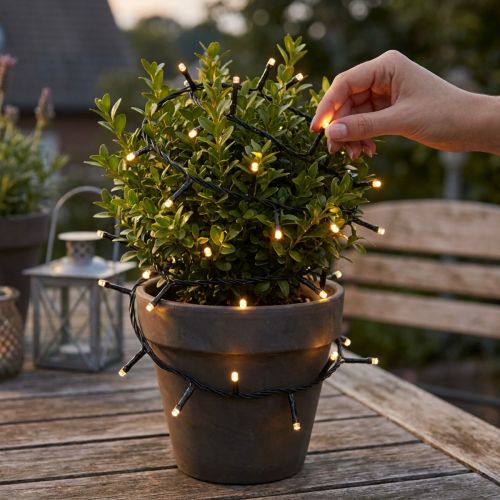 LED Lichterkette Schwarz mit 144 Warmweiss-LEDs, 1.2m für Innen und Aussen | Floristik24.ch