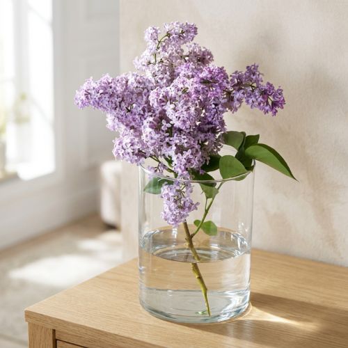 Glasvase zylindrisch Ø12cm H20cm klar | Floristik24.ch