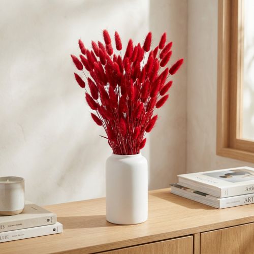 Lagurus Trockenblumen Hasenschwanzgras Rot 60–65cm 50g Dekoration | Floristik24.ch