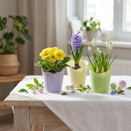 Pflanztopf aus gewebtem Papier Ø7cm H13cm in Grün, Gelb und Lila – Set mit 12 Stück | Floristik24.ch