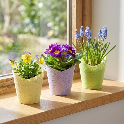 Artikel Pflanztöpfe aus gewebtem Papier Grün, Gelb, Lila Ø9cm, H18cm 9er-Set