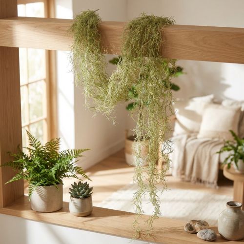Künstliche Tillandsie 180cm Grün Weiss Dekohänger | Floristik24.ch