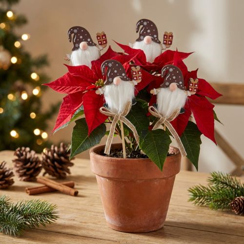 Blumenstecker Holz Weihnachtswichtel 6x7cm mit Geschenk 12 Stück | Floristik24.ch